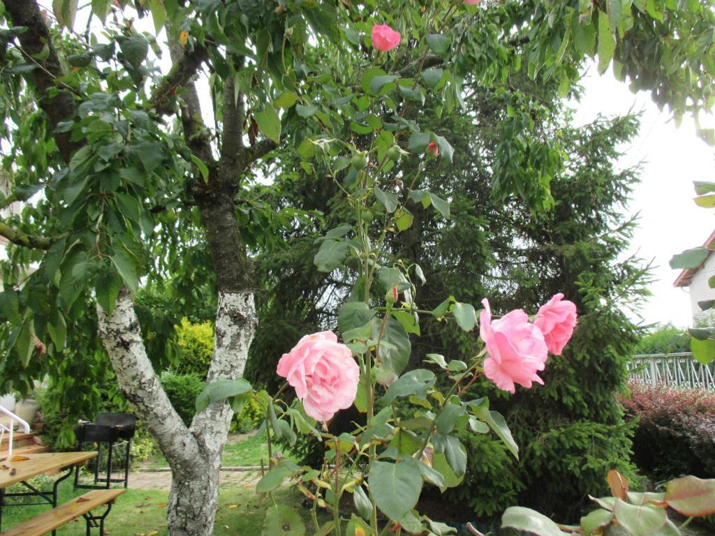 Les Roses De Rita Casa de Férias