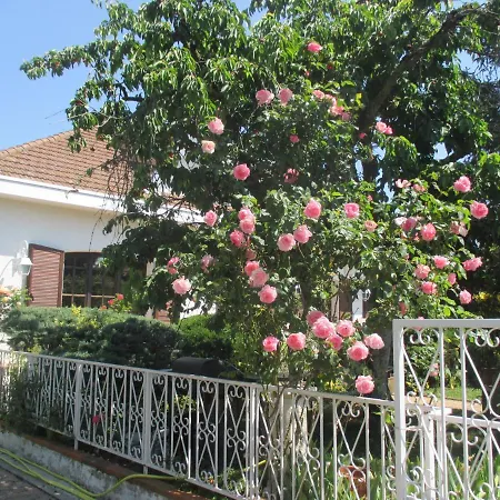 Les Roses De Rita Apartment Boisset-lès-Montrond Exterior photo