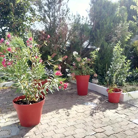 Les Roses De Rita Villa Boisset-les-Montrond Exterior photo