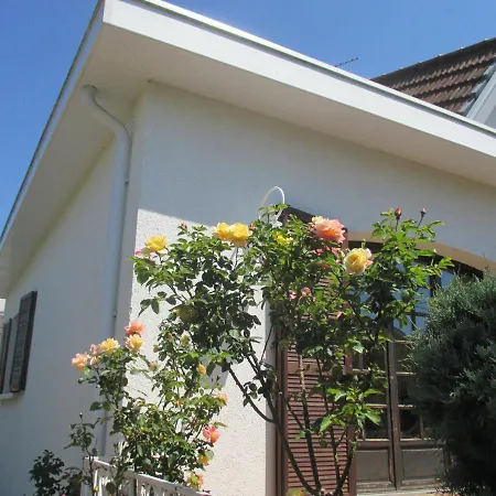 Les Roses De Rita Apartment Boisset-lès-Montrond Exterior photo
