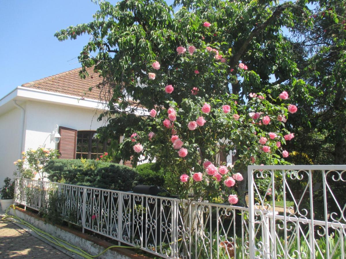 Les Roses De Rita Boisset-les-Montrond