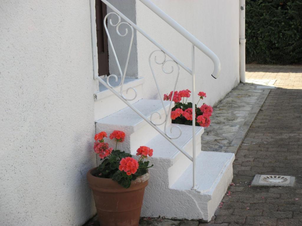 Les Roses De Rita